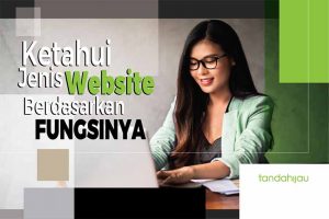 Jenis Website Berdasarkan Fungsinya