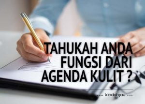 Fungsi Agenda Kulit