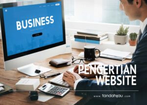 pengertian website
