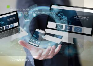 website profesional