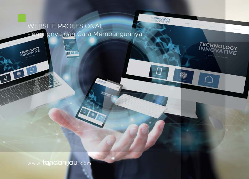 website profesional