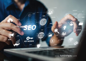 seo untuk website