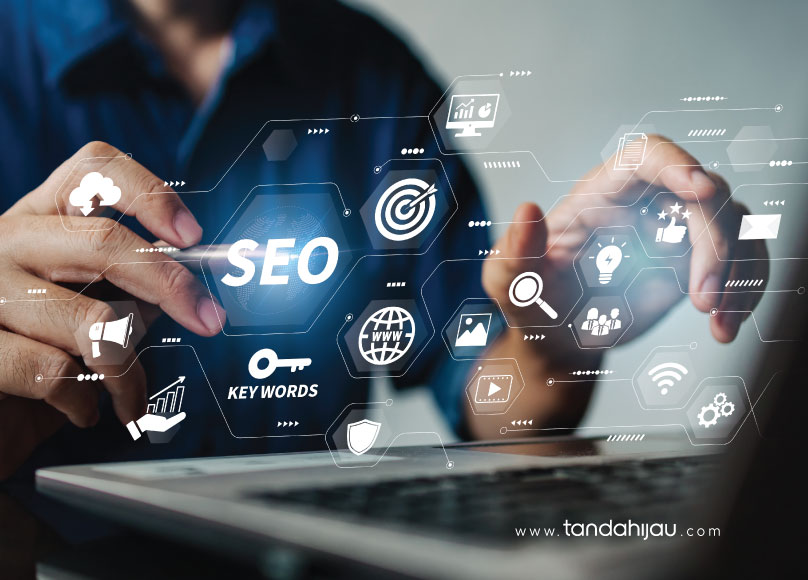 seo untuk website