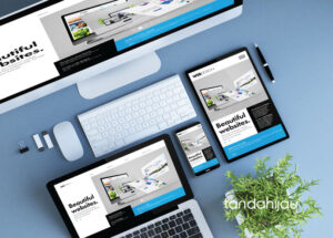 domain website